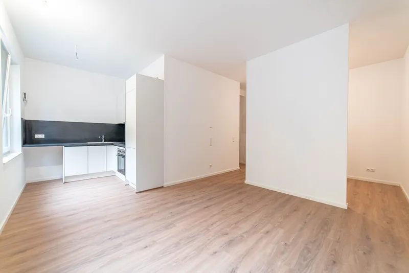Ground Floor Manhattan-Style Studio in Gürtelstraße Apt 105 — photo 1